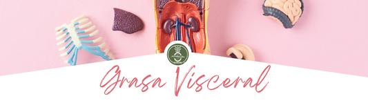 Grasa Visceral: Qué es y cómo disminuirla